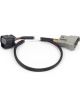 Haltech Nexus Rebel LS 6-pin DBW adaptor