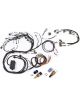 Haltech Elite 2000/2500 Terminated Harness Fits RB Twin Cam Late