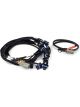 Haltech Nexus Universal V8 Harness IGN-1A Fits Ford