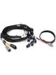 Haltech Nexus Universal V8 Harness IGN-1A Fits GM/Chrysler