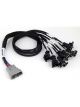Haltech Nexus Universal V8 Junior Timer Injector Primary Breakout