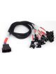 Haltech Nexus Universal V8 Junior Timer Injector Secondary Breakout