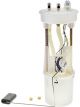 Icon Electronic Fuel Pump Assembly