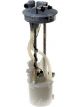 Icon Electronic Fuel Pump Assembly