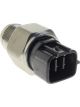 Icon Fuel Rail Sensor
