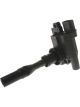 Icon Ignition Coil