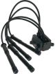 Icon Ignition Coil