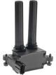 Icon Ignition Coil