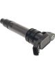 Icon Ignition Coil