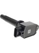 Icon Ignition Coil