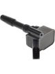 Icon Ignition Coil