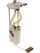 PAT Electronic Fuel Pump Assembly