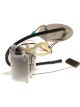 PAT Electronic Fuel Pump Assembly