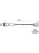 PAT Exhaust Gas Oxygen Sensor