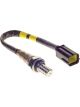 PAT Exhaust Gas Oxygen Sensor