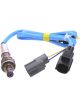 PAT Exhaust Gas Oxygen Sensor