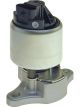 PAT Exhaust Gas Recirculation Valve