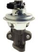 PAT Exhaust Gas Recirculation Valve