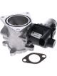 PAT Exhaust Gas Recirculation Valve