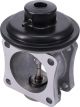 PAT Exhaust Gas Recirculation Valve