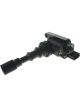 PAT Ignition Coil
