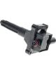 PAT Ignition Coil