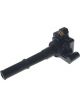 PAT Ignition Coil