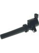 PAT Ignition Coil