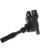 PAT Ignition Coil