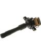 PAT Ignition Coil