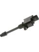 PAT Ignition Coil