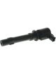 PAT Ignition Coil