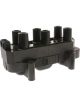 PAT Ignition Coil