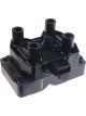 PAT Ignition Coil