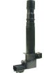 PAT Ignition Coil
