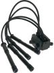 PAT Ignition Coil