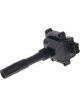 PAT Ignition Coil