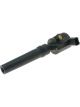 PAT Ignition Coil