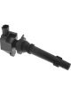 PAT Ignition Coil