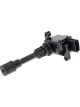 PAT Ignition Coil