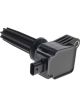 PAT Ignition Coil