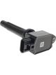 PAT Ignition Coil