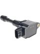 PAT Ignition Coil