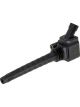 PAT Ignition Coil