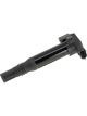 PAT Ignition Coil