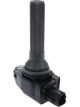 PAT Ignition Coil
