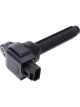 PAT Ignition Coil