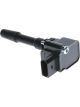 PAT Ignition Coil
