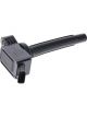 PAT Ignition Coil