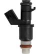 PAT Fuel Injector